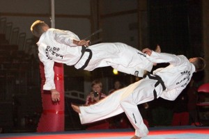 O Taekwondo-ju