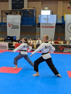 Slovenska reprezentanca v tehniki, Enej in Aleša Gačnik, Dunaj 2025