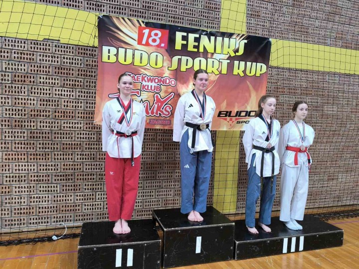 Tehnika Feniks Open 2025
